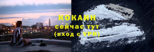 сатива Бугульма