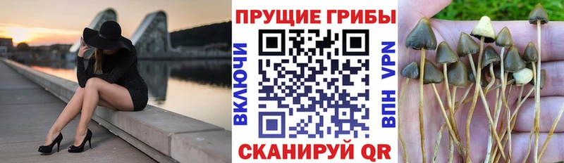 Галлюциногенные грибы мицелий  закладка  Клин 
